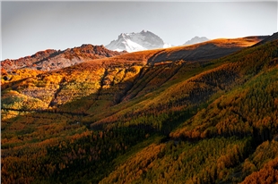 DOĞASEVERLERİN KAYSERİ'DEKİ SAKLI HAZİNESİ: ORTASEKİ